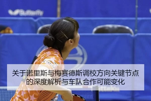 关于诺里斯与梅赛德斯调校方向关键节点的深度解析与车队合作可能变化